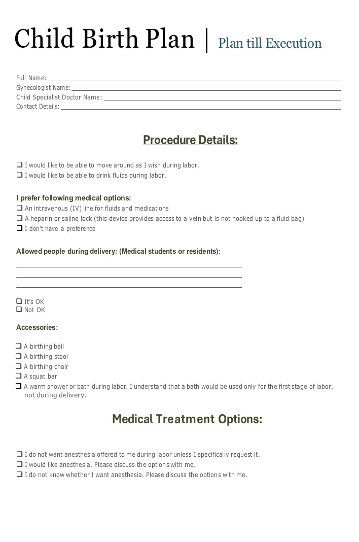 Hospital Child Birth Plan Template | Free Word & Excel Templates