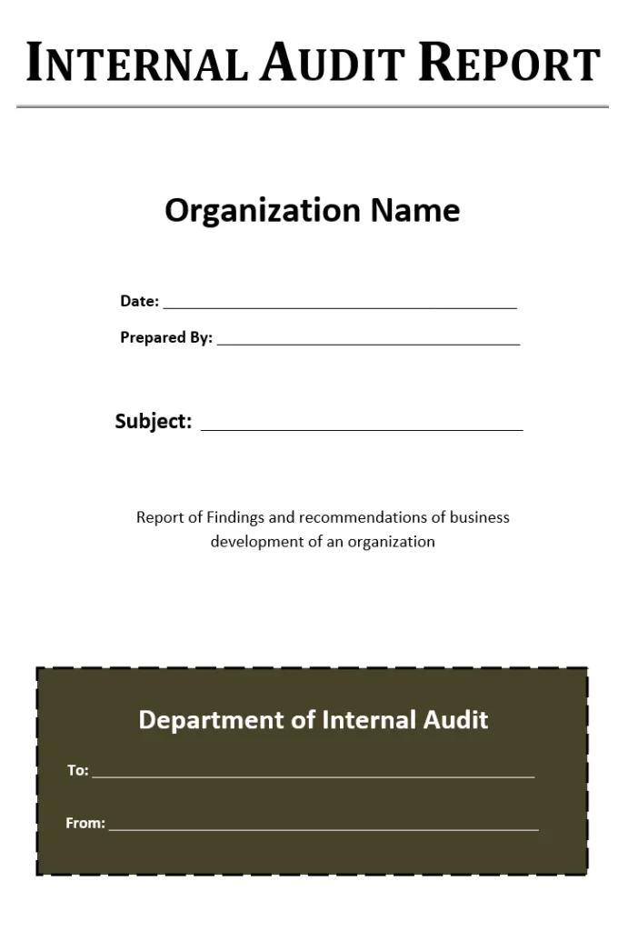 Internal Audit Plan Format