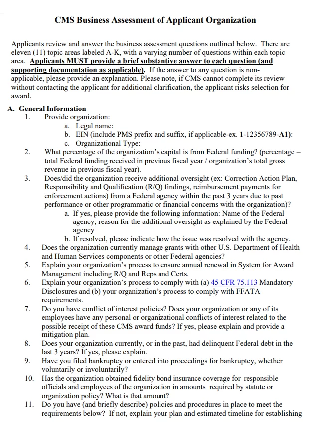 Business Assessment Format