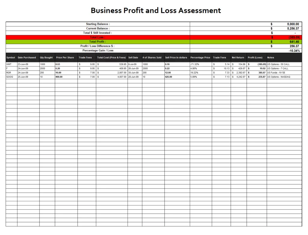 Business profit and loss Assessment Template