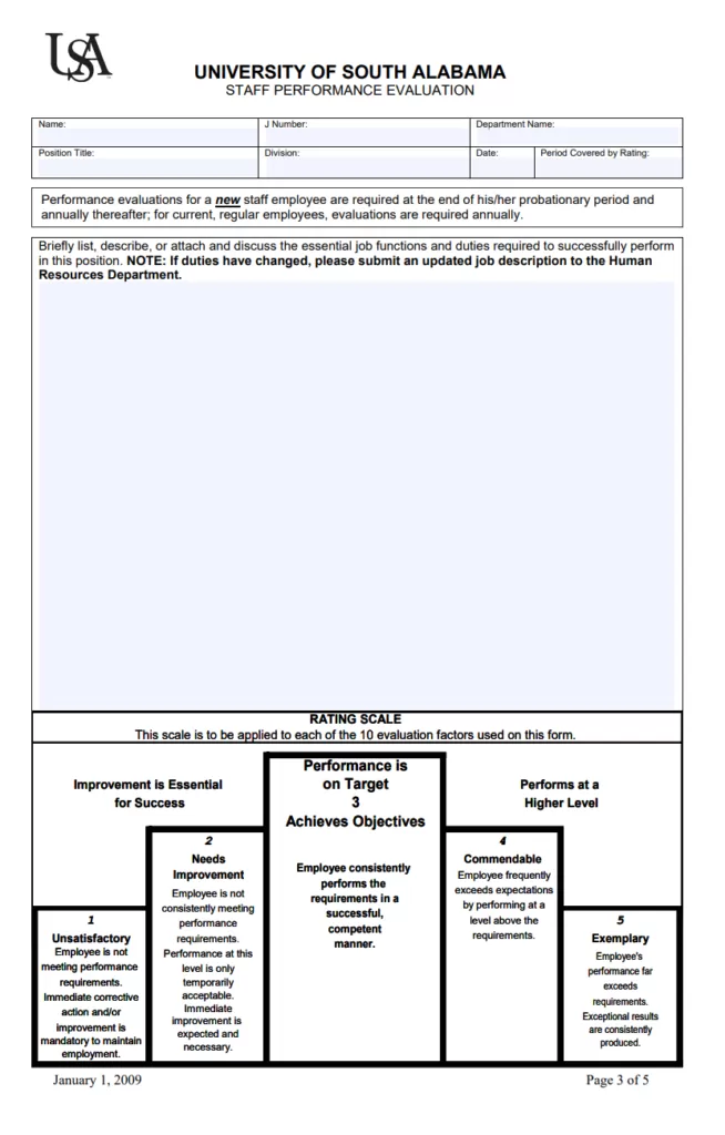 Staff Assessment Template