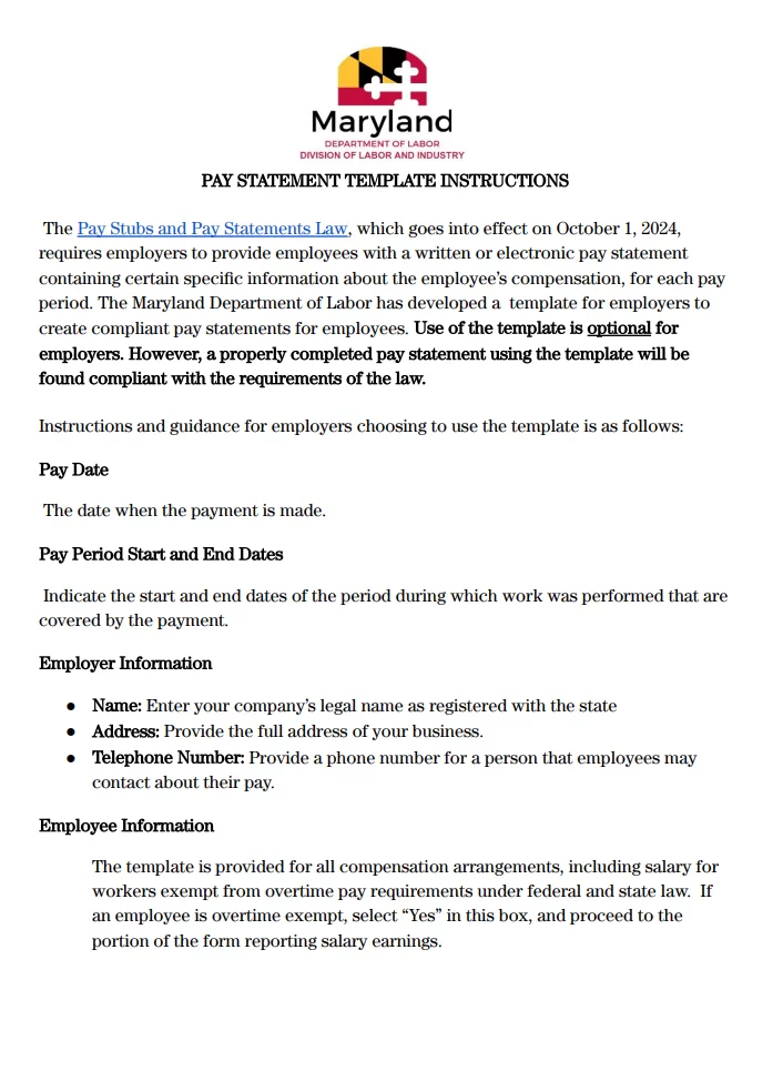 Pay Statement Template