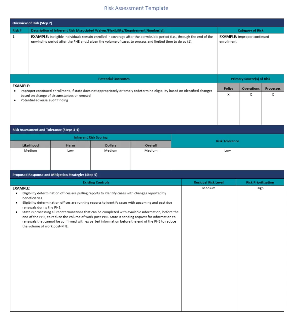 Professional Risk Assessment Template